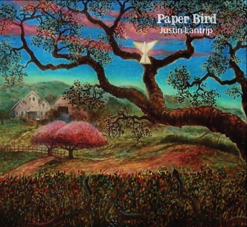 Paper Bird album cover